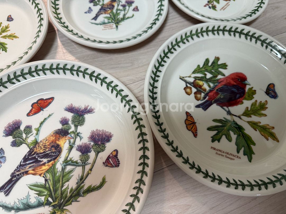 영국산)포트메리온 보타닉가든 버드 접시--1