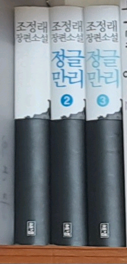 조정래 정글만리 1-3--0