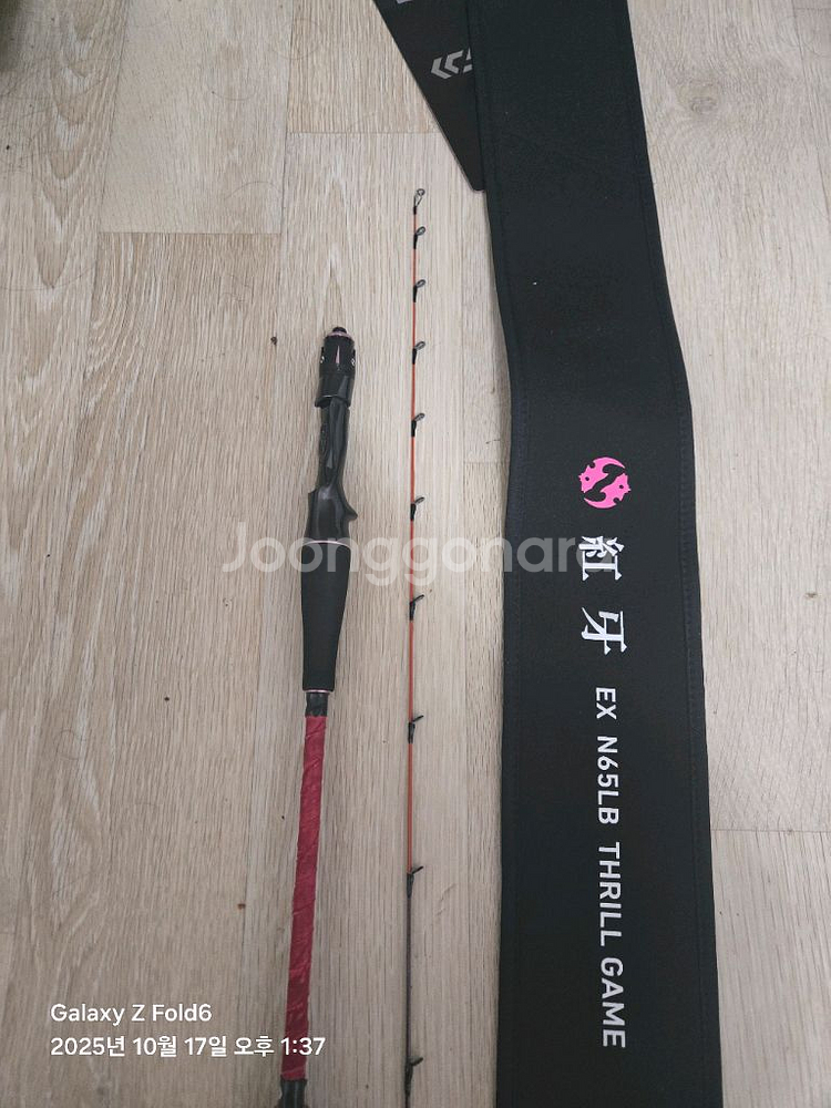 [상급/정품] 다이와 코우가 EX N65LB 타이라바--0