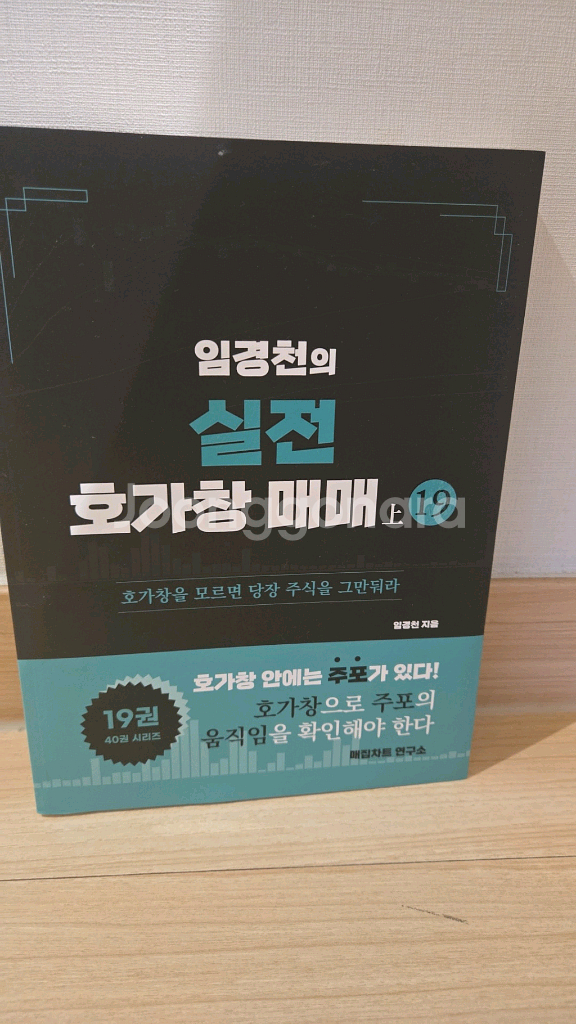 임경천 매집차트 주식책--0