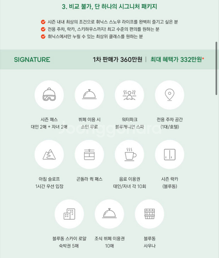 휘닉스파크 시즌권 시그니처(블루/유스)--1