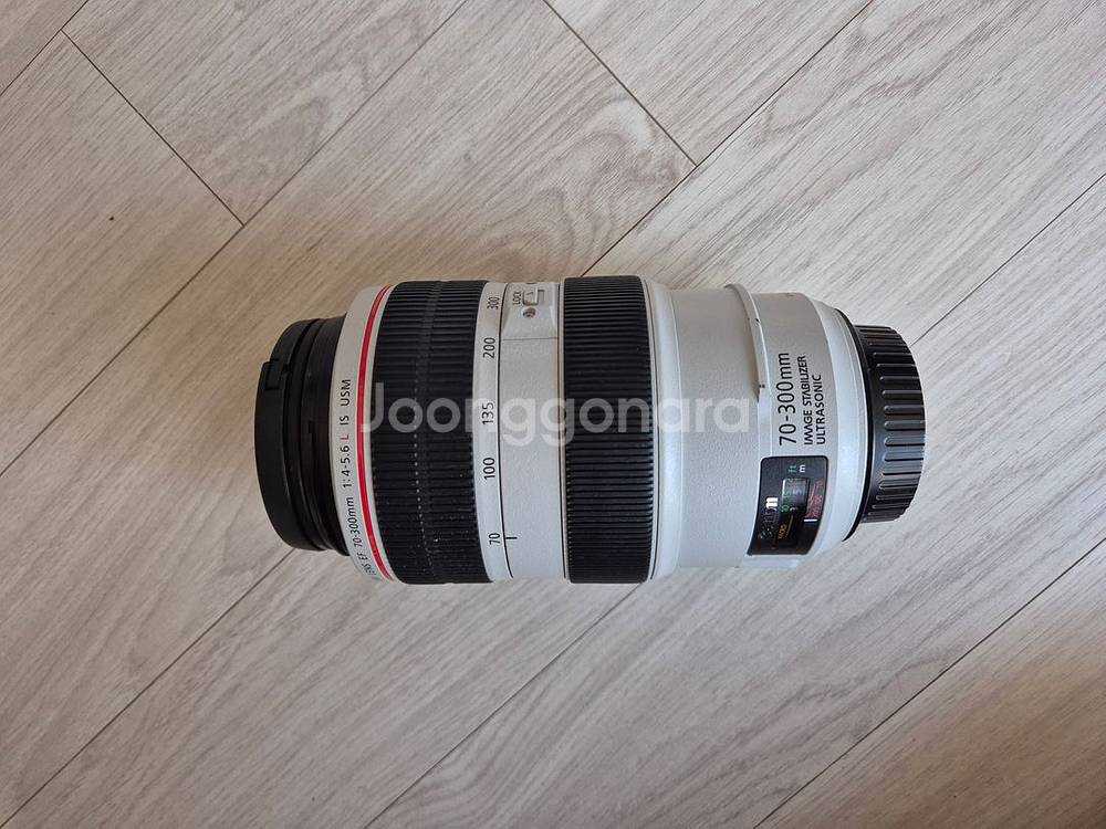 캐논 렌즈 EF 70-300mm f/4-5.6L USM--2