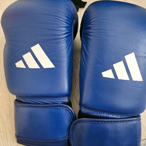 아디다스 아이바 복싱 글러브 12oz