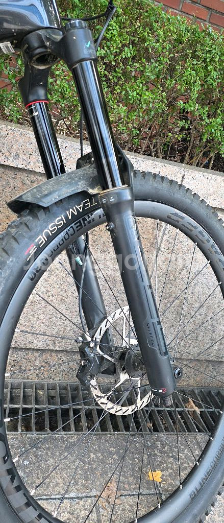 트렉 24년식 레일 9.8 M사이즈--3