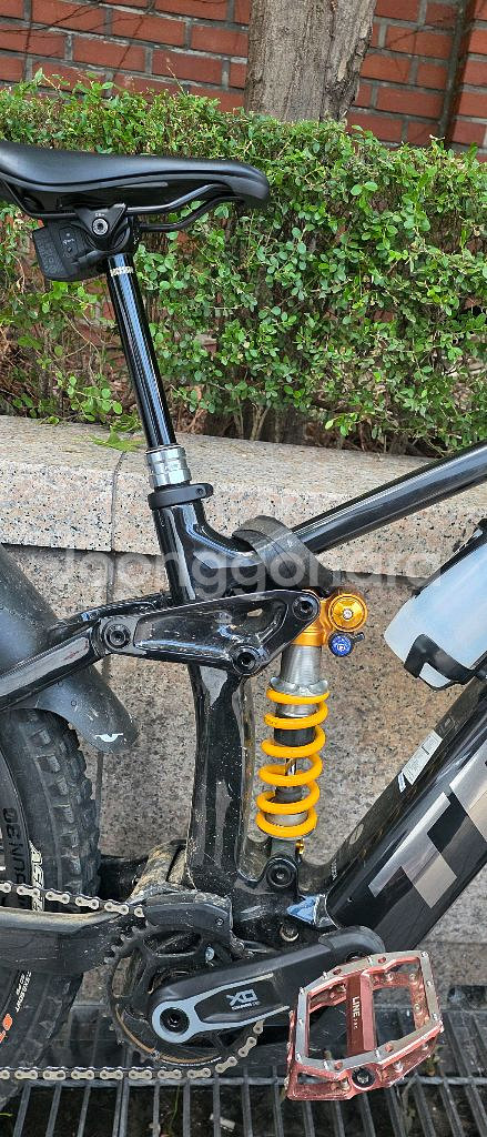 트렉 24년식 레일 9.8 M사이즈--1