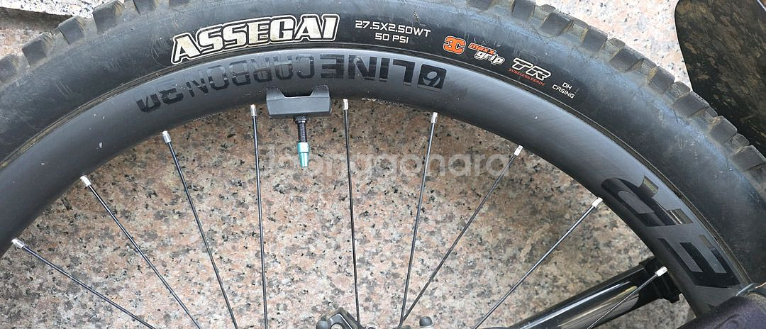 트렉 24년식 레일 9.8 M사이즈--4