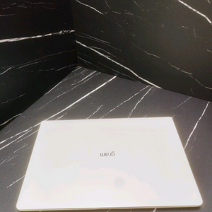 LG올뉴그램 14인치 i5 16gb 768gb 노트북
