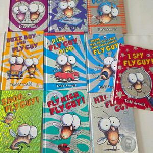 플라이 가이 fly guy 10권 영어원서