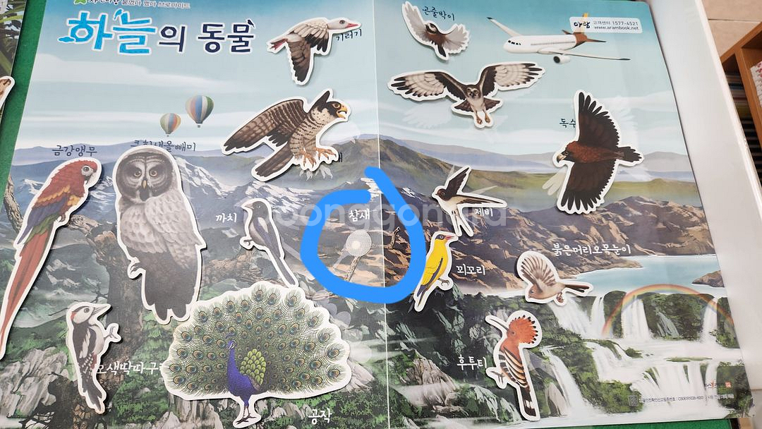 아람-꼬꼬마 자연관찰 자연이랑(개정판)--2