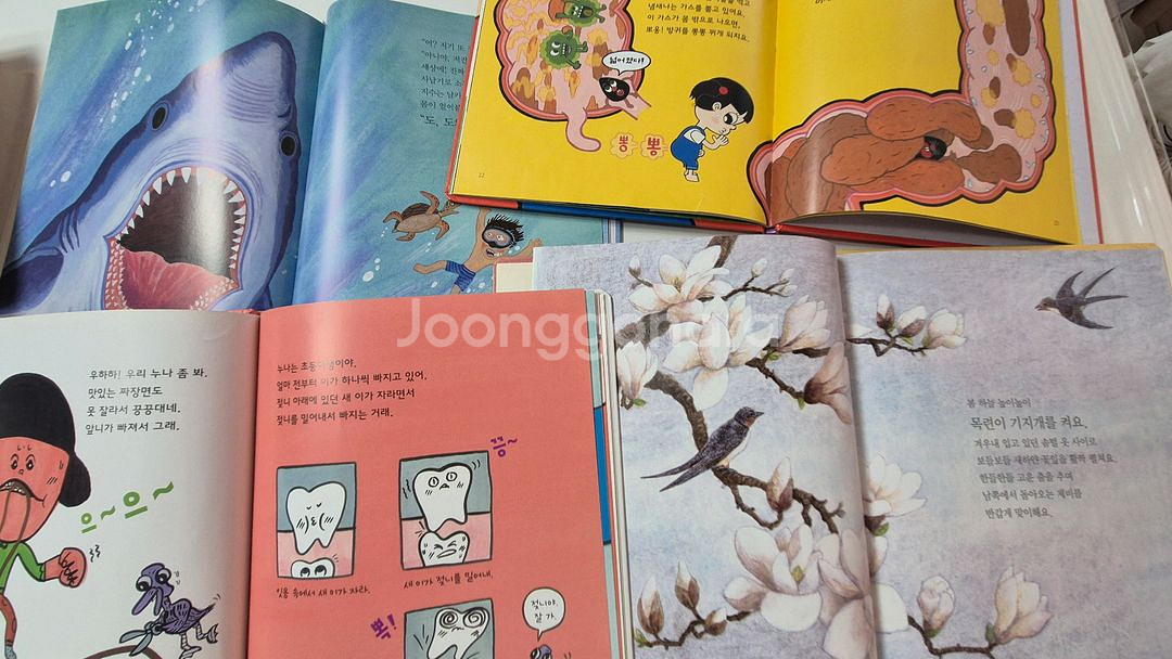 내친구과학공룡--2