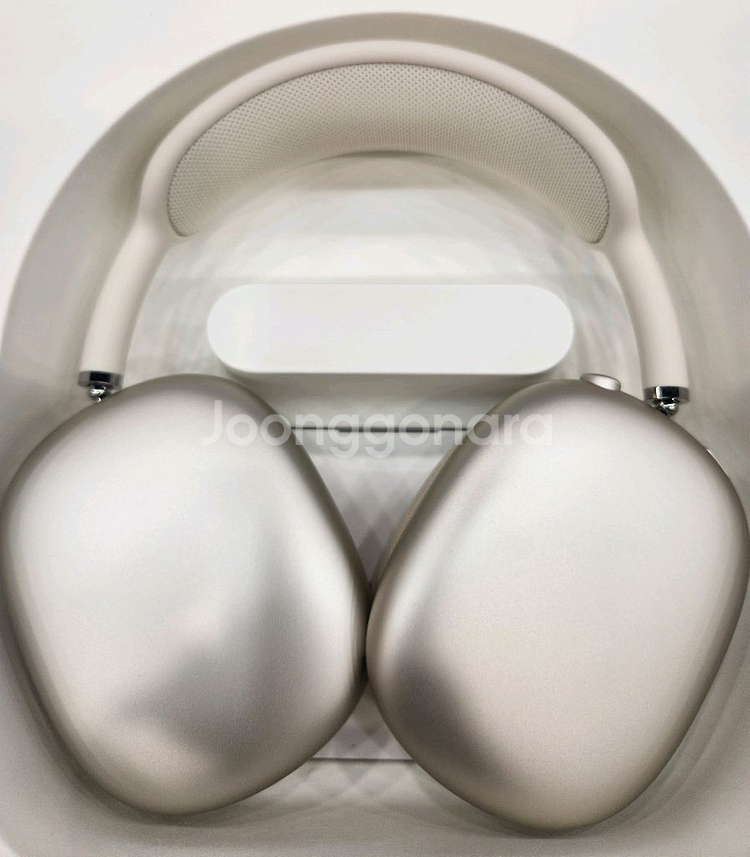 애플 에어팟 맥스 실버 색상 C타입--1