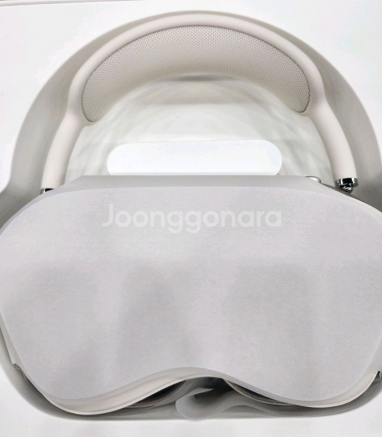 애플 에어팟 맥스 실버 색상 C타입--3