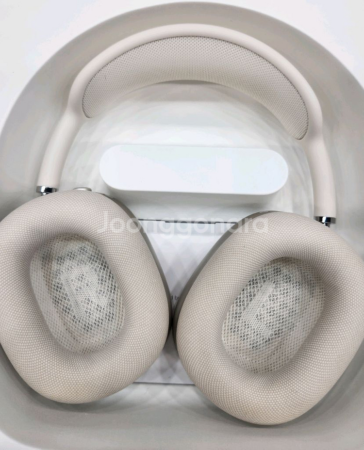 애플 에어팟 맥스 실버 색상 C타입--2