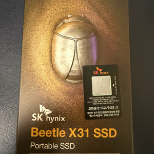SK하이닉스 Beetle X31 SSD 2TB