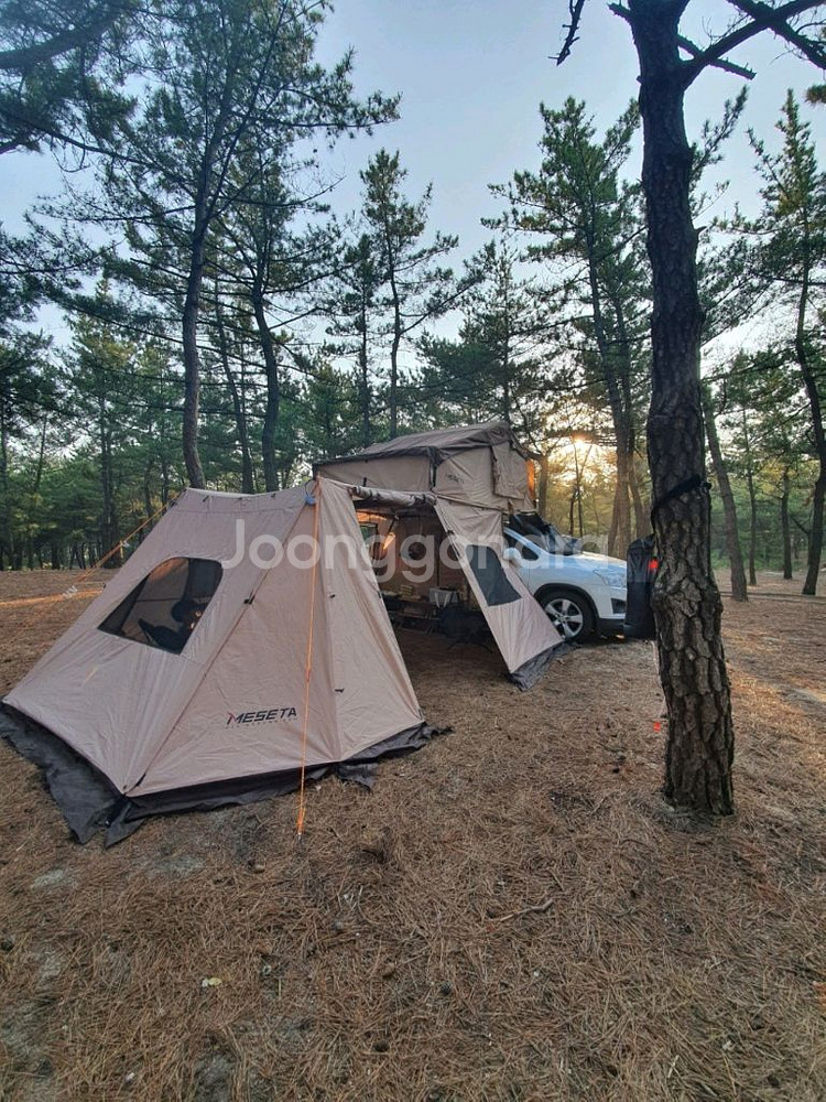 메세타 어넥스1900만 팝니다!!--0