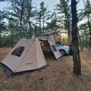 메세타 어넥스1900만 팝니다!!