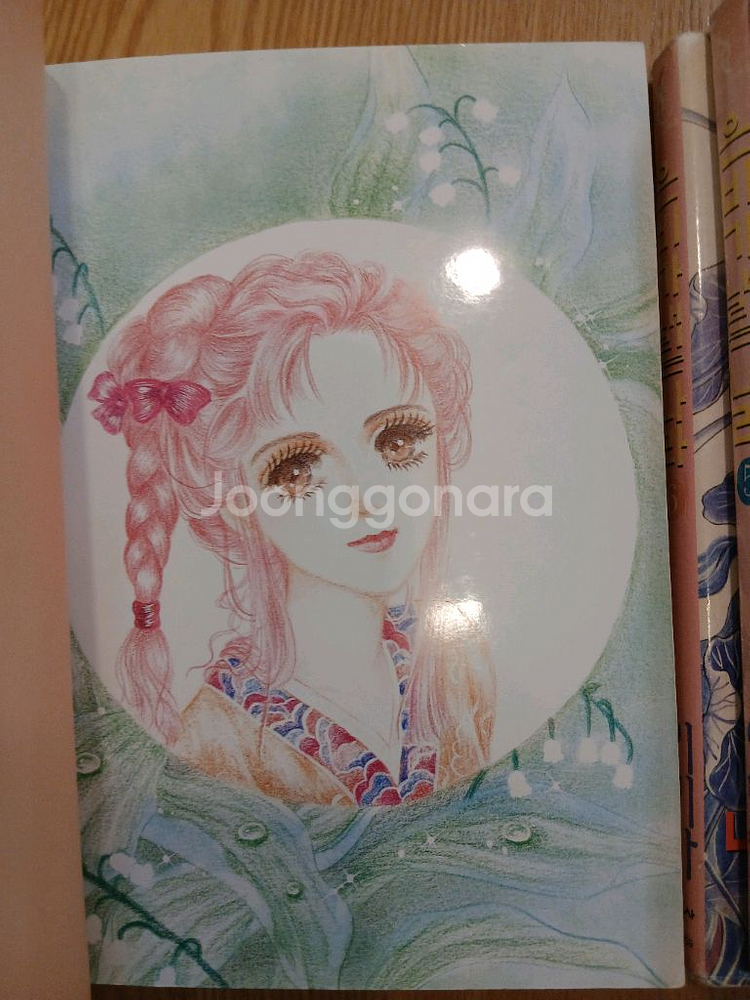 순정만화 이미라작가님의 은비가내리는 나라 1~7완결--6