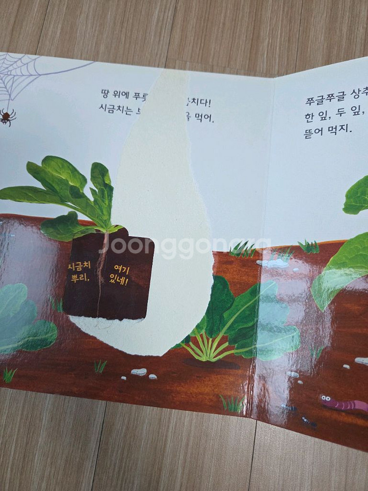 그레이트북스 놀라운자연--5