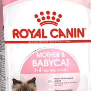 로얄캐닌 베이비 4키로 2포