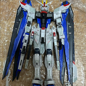 RG 프리덤 GCP버전