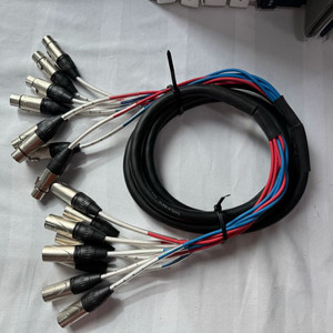 Seismic Audio SARLX-8x10 스네이크