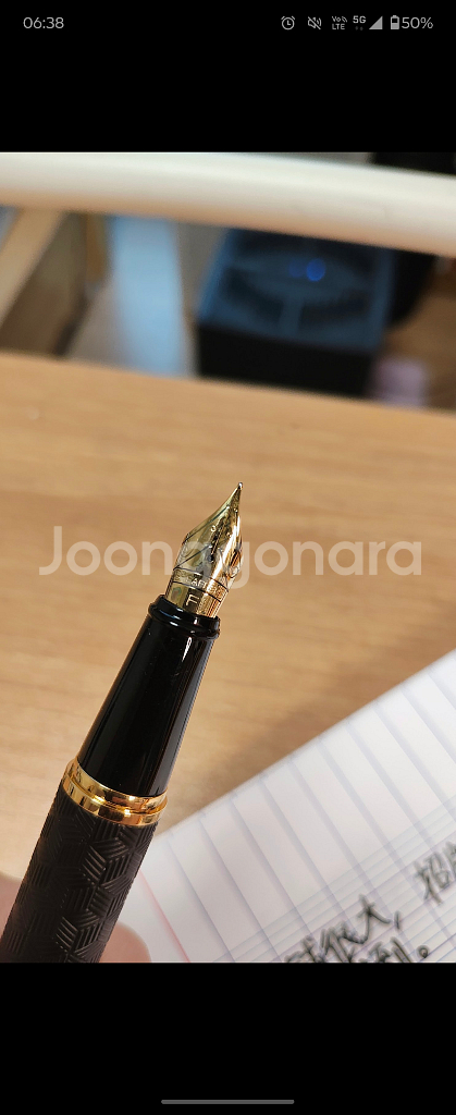 쉐퍼 300 인그레이브드 만년필--1