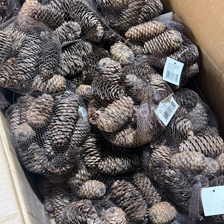 자연 솔방울 100p 크리스마스 소품 재료--1