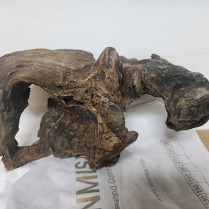 거북이용 유목