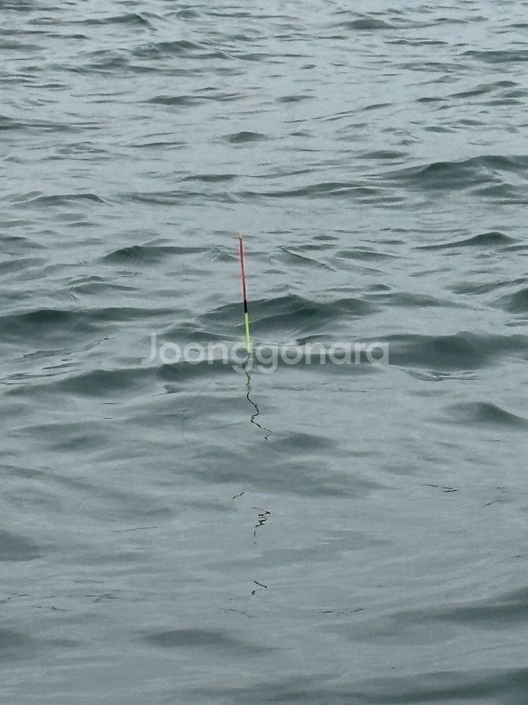 바다 찌낚시 수제 메추리알 비자립 막대찌 팝니다.--7