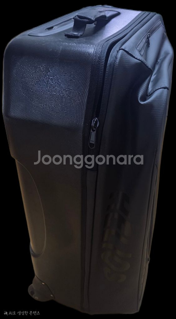 헬리오스 젠틀맨 캐리어--1