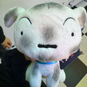 고양이