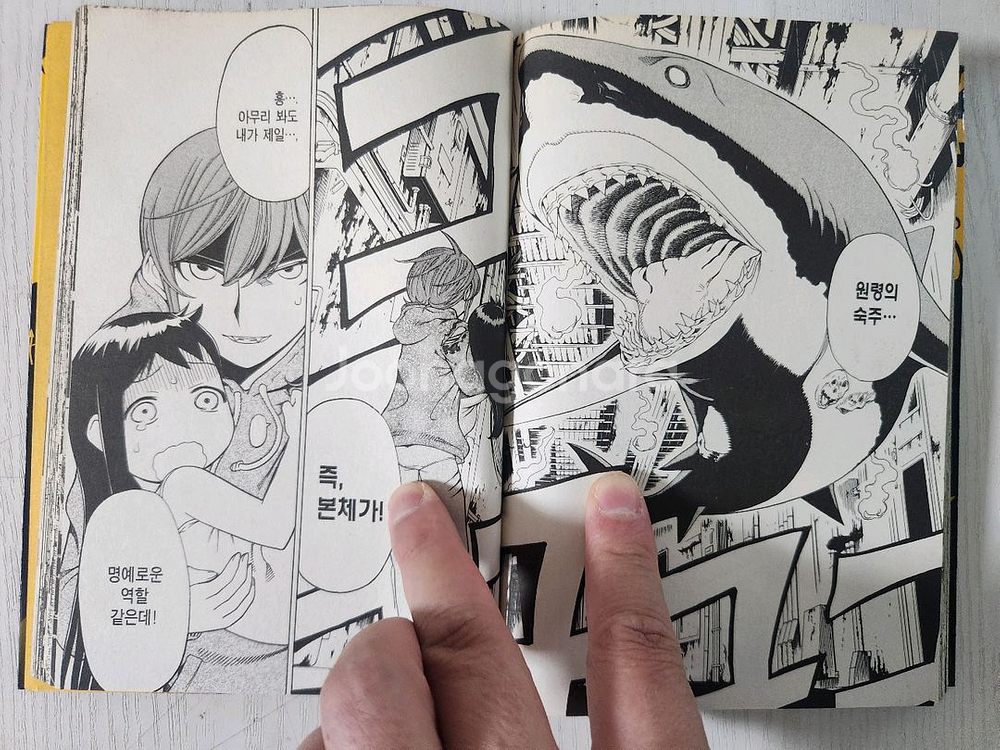 [다크판타지 만화책] 괴물왕녀 전권 20권 완결--7