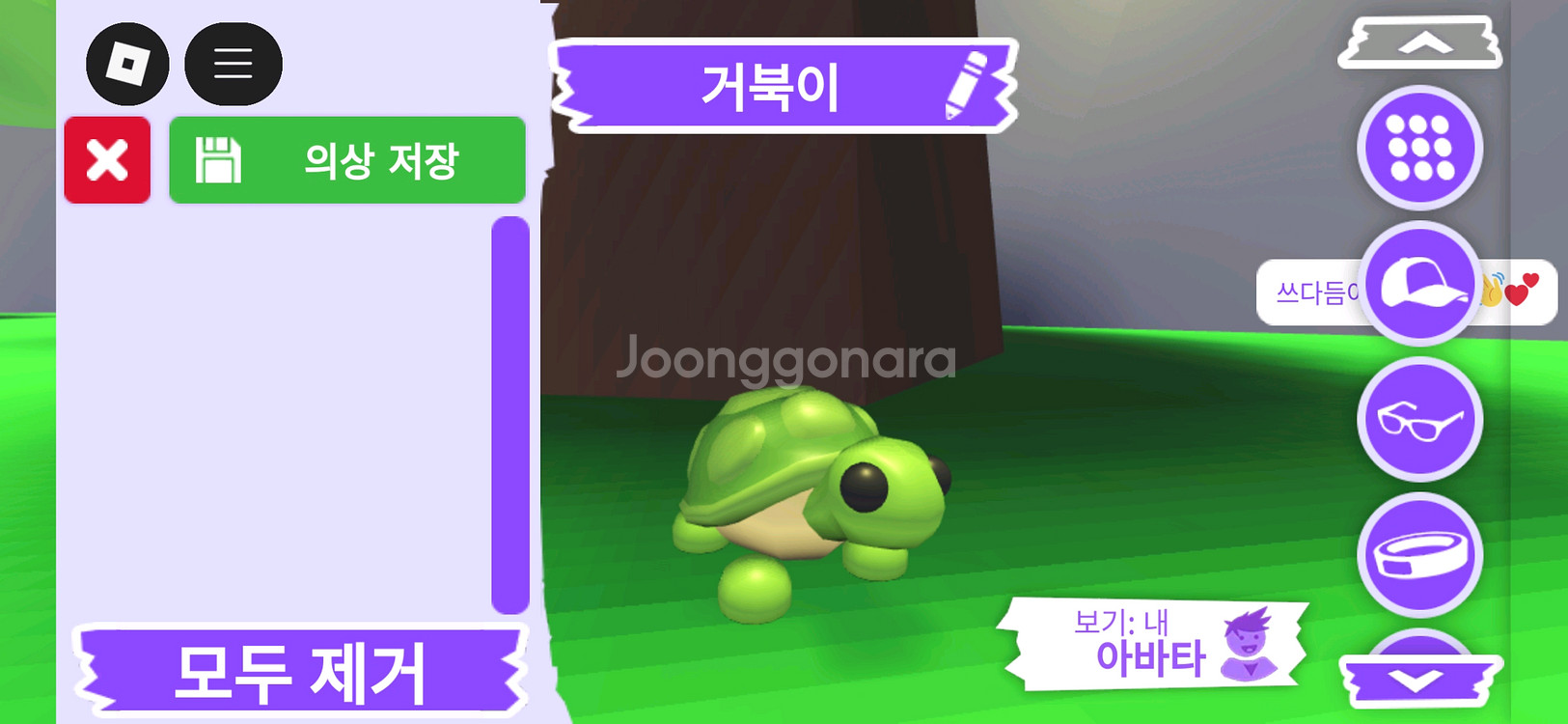입양하세요 펫 거북이 판매합니다--1