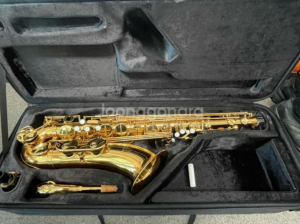 이스트만 테너색소폰 ETS223--0