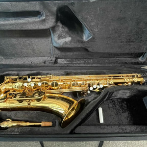 이스트만 테너색소폰 ETS223