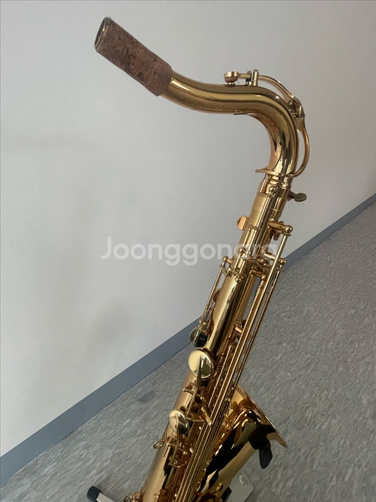 이스트만 테너색소폰 ETS223--4