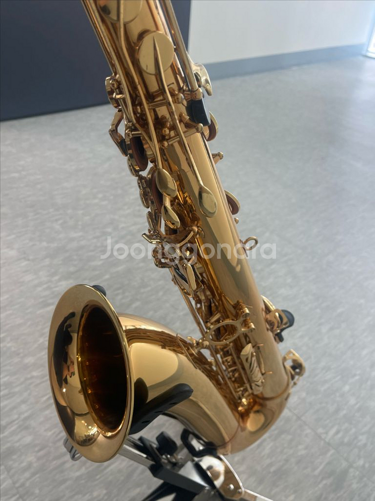 이스트만 테너색소폰 ETS223--2