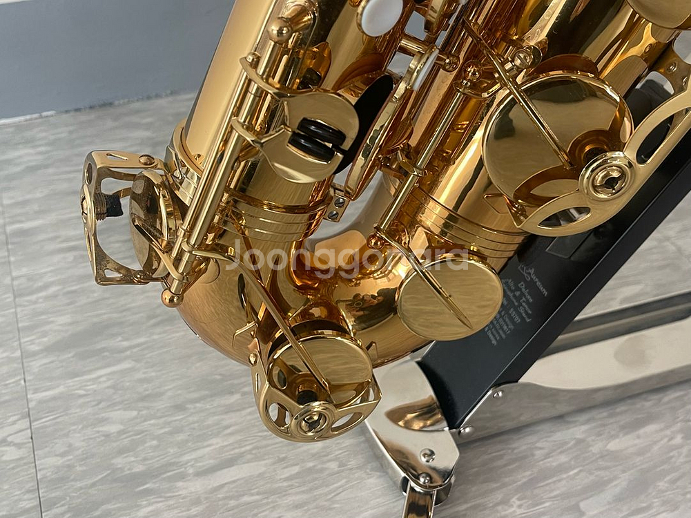 이스트만 테너색소폰 ETS223--6