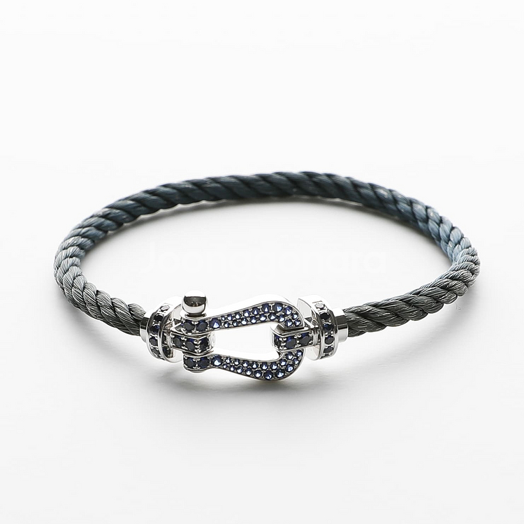 프레드 포스텐 화골 블루사파이어 풀파베 라지 모델--5