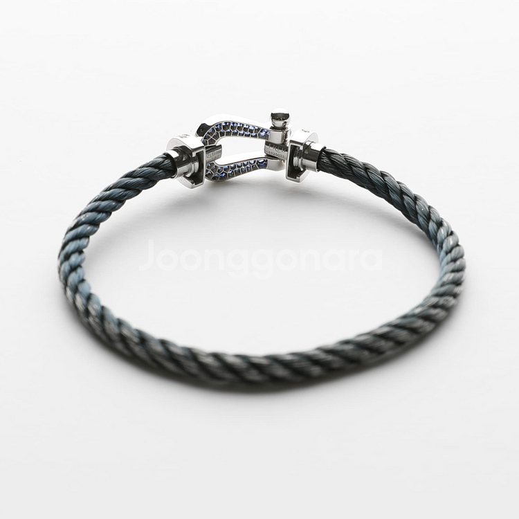 프레드 포스텐 화골 블루사파이어 풀파베 라지 모델--2