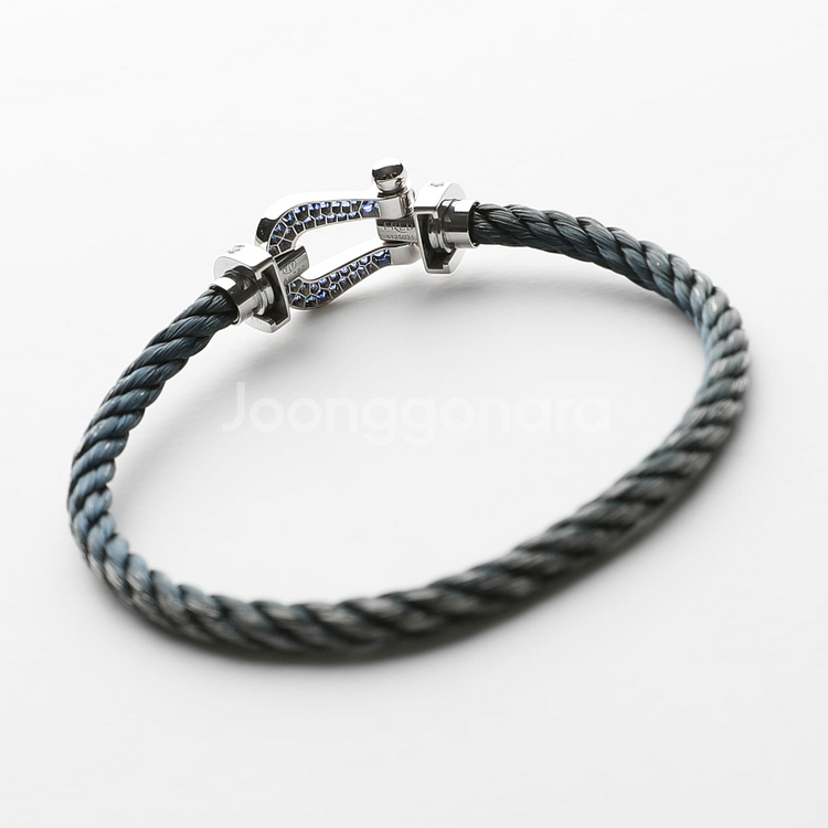 프레드 포스텐 화골 블루사파이어 풀파베 라지 모델--1