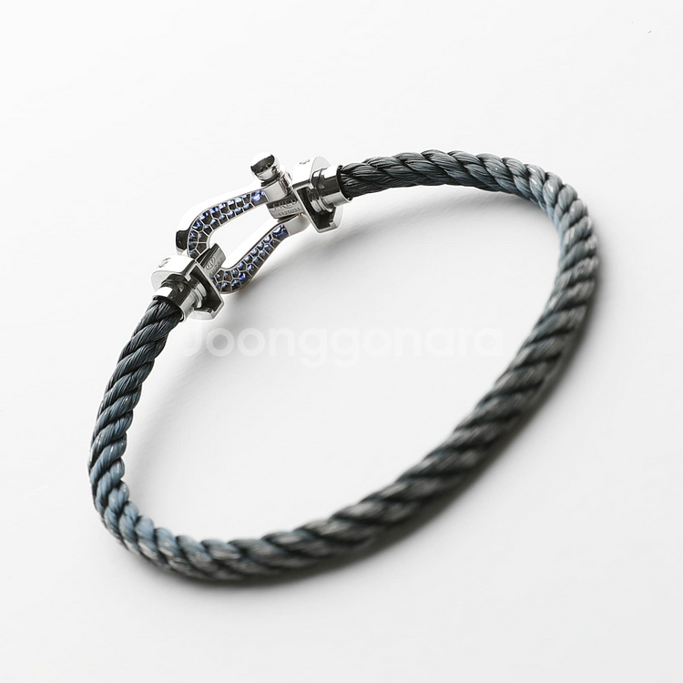 프레드 포스텐 화골 블루사파이어 풀파베 라지 모델--4