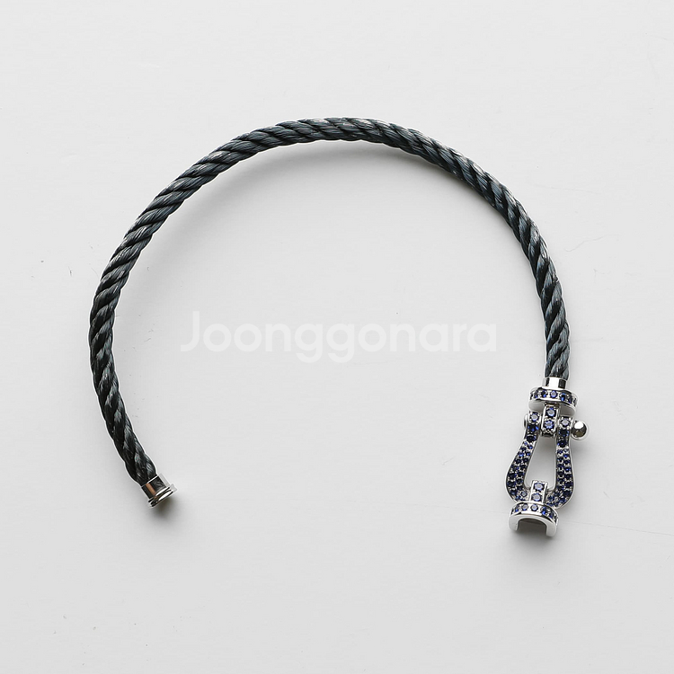 프레드 포스텐 화골 블루사파이어 풀파베 라지 모델--3