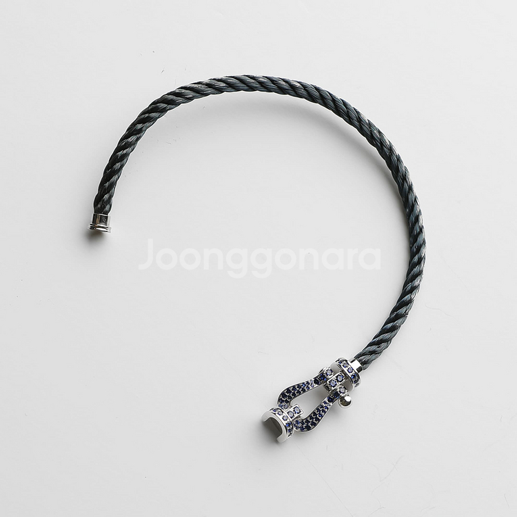 프레드 포스텐 화골 블루사파이어 풀파베 라지 모델--7