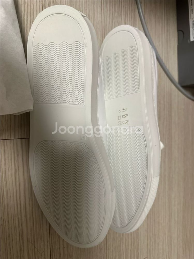 커먼프로젝트 오리지널 아킬레스 로우 새제품 판매--3