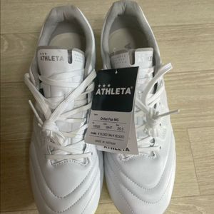 아슬레타 파즈 mg 265