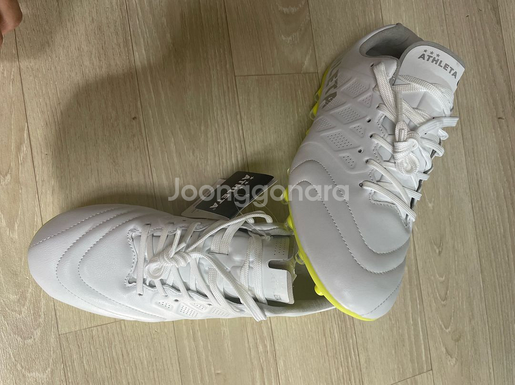 아슬레타 파즈 mg 265--1