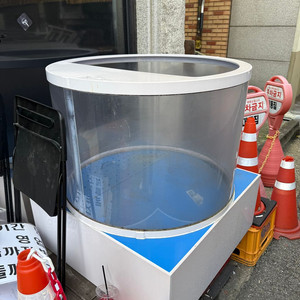 원형 수조만 팝니다