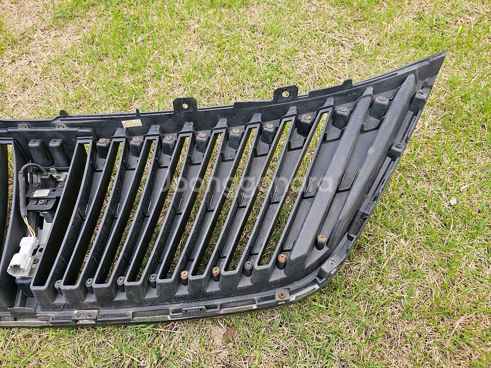 에쿠스 페리버전 2013년식 세로그릴--6