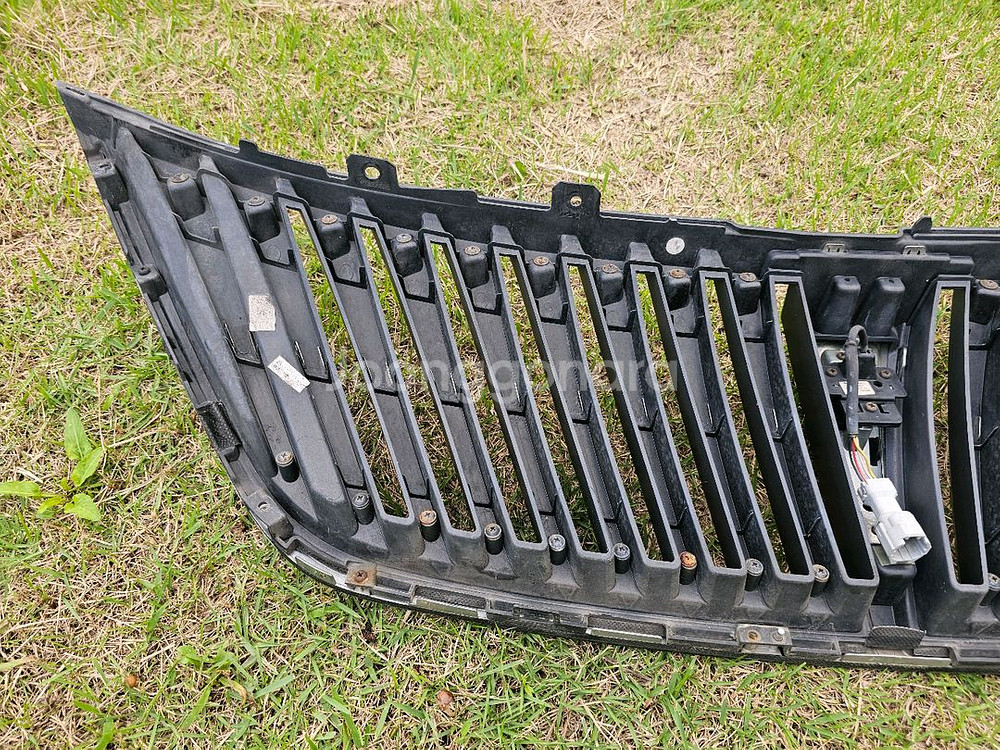 에쿠스 페리버전 2013년식 세로그릴--5